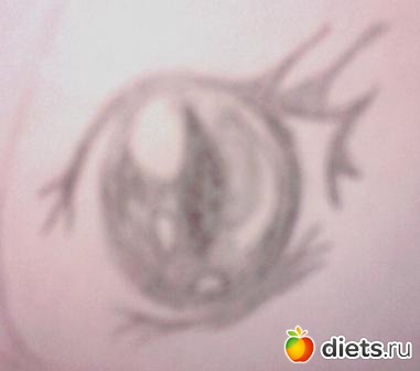 ��� ���������