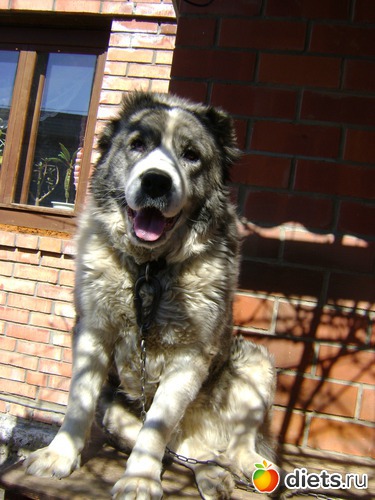 4 ����: ������������� ����!!!