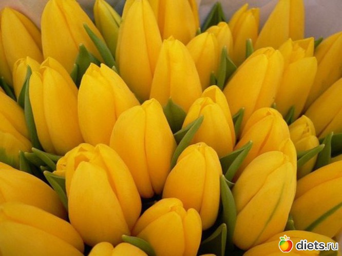 58 фото: Мой альбомчик