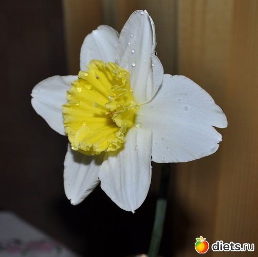 3 ����: ����� ���� �����