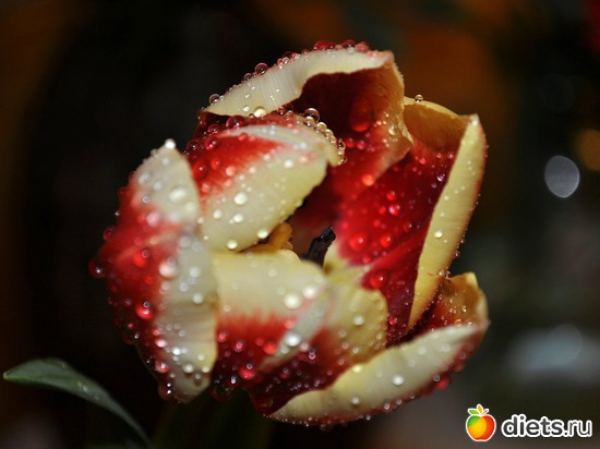 5 ����: ����� ���� �����