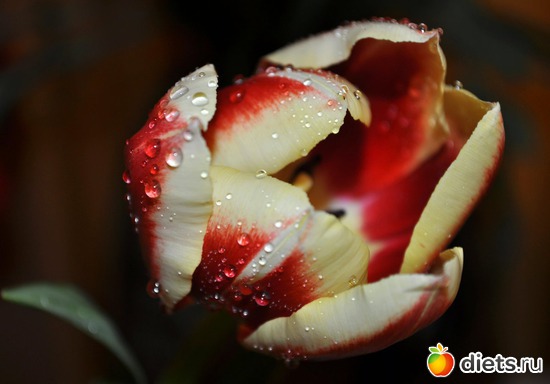 6 ����: ����� ���� �����