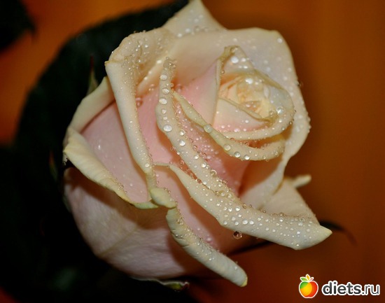 7 ����: ����� ���� �����