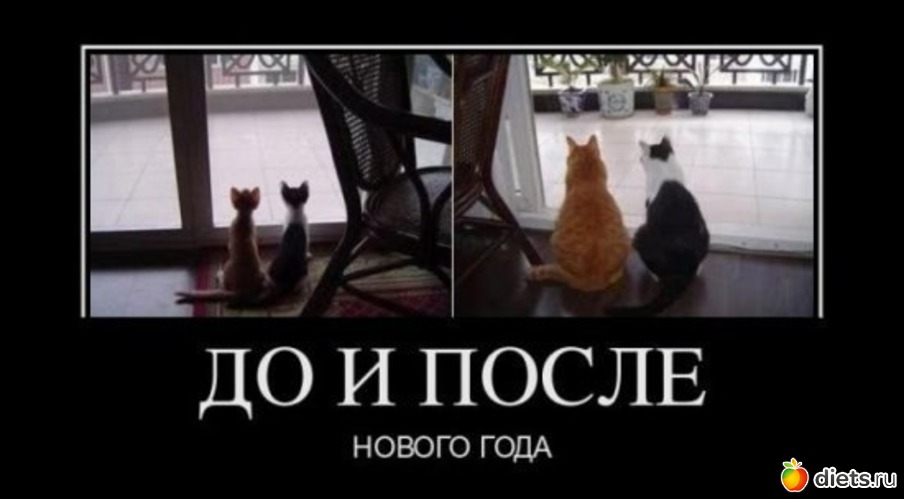 До и после Нового года, альбом: Похудательно-улыбательно :)