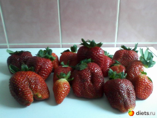 klubnika, альбом: kot