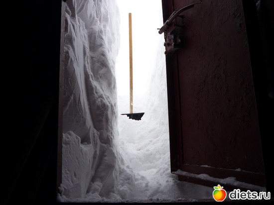 5 ����: � � ����� ����� ���� ������