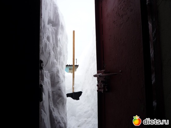 6 ����: � � ����� ����� ���� ������