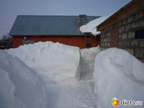 8 ����: � � ����� ����� ���� ������