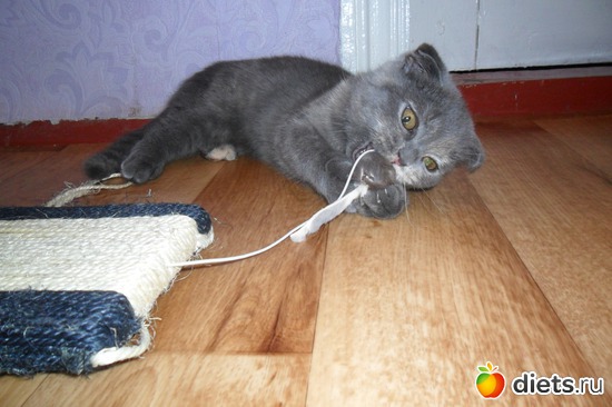 2 ����: ��� ���������