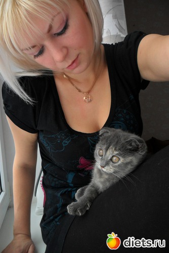 3 ����: ��� ���������