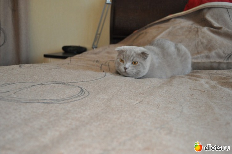 14 ����: �