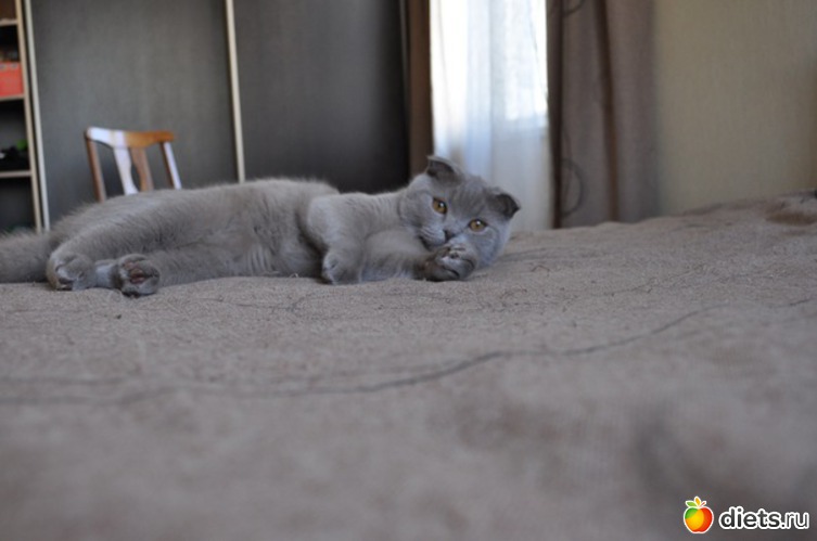 18 ����: �