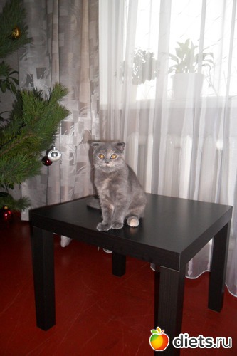 5 фото: МОЯ КРАСАВИЦА