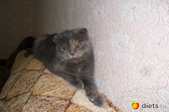 8 ����: ��� ���������