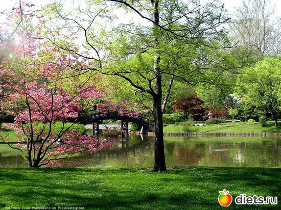 1 фото: Разное