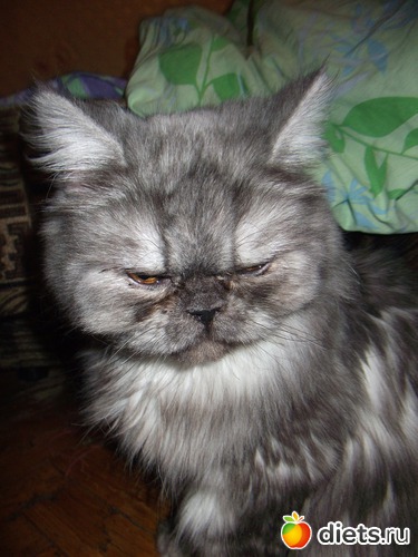 Мой Митя, альбом: Личное