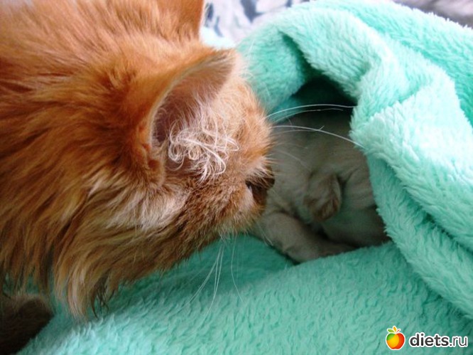 ���-��� � ��� � ����� �����?, ������: ������� �� ��� ����� �������...