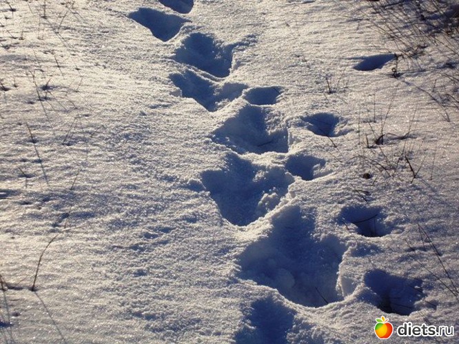 9 ����: ������� �� ��� ����� �������...