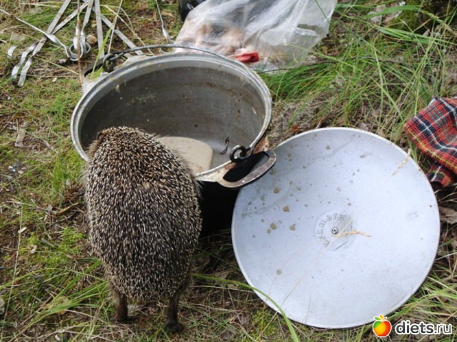 а что тут у вас вкусненького?, альбом: Взгляни на мир моими глазами...