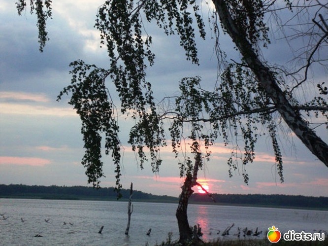 12 фото: Взгляни на мир моими глазами...