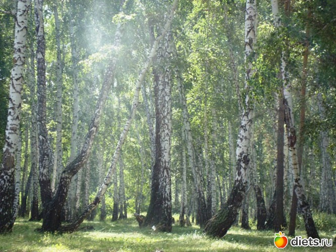 14 ����: ������� �� ��� ����� �������...