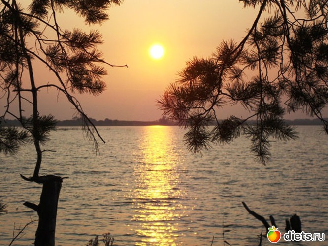 15 ����: ������� �� ��� ����� �������...