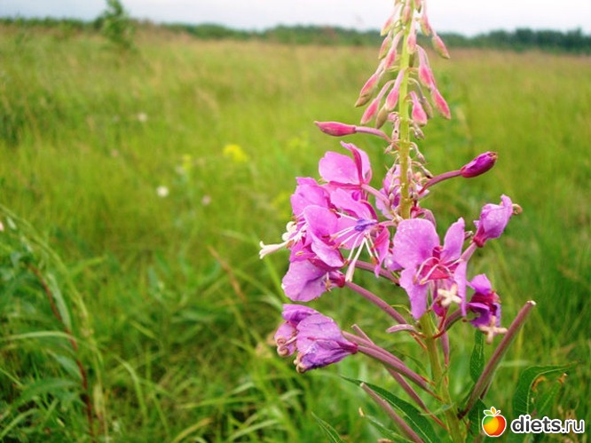 19 ����: ������� �� ��� ����� �������...