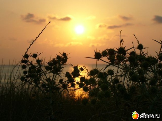 20 фото: Взгляни на мир моими глазами...