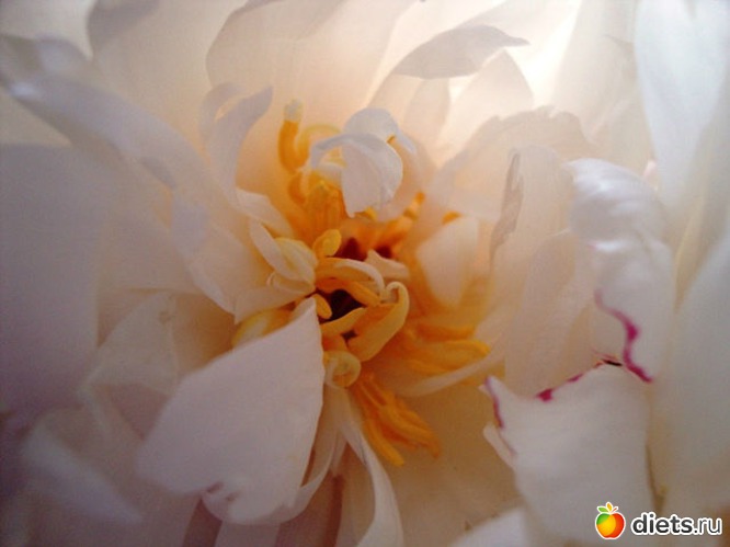 � ������ ������� ������ �����, ������: ������� �� ��� ����� �������...