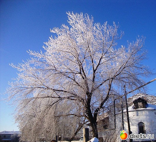 ������� �� ��� ����� �������...