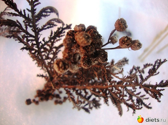 33 фото: Взгляни на мир моими глазами...