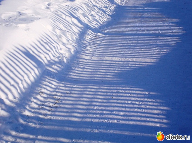забор, который мечтал стать дорогой, альбом: Взгляни на мир моими глазами...