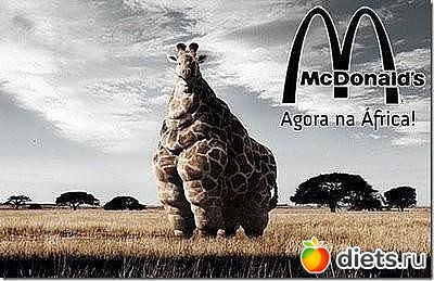 ����-������.� ���� ����������?