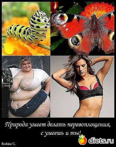 �� �������� � �������