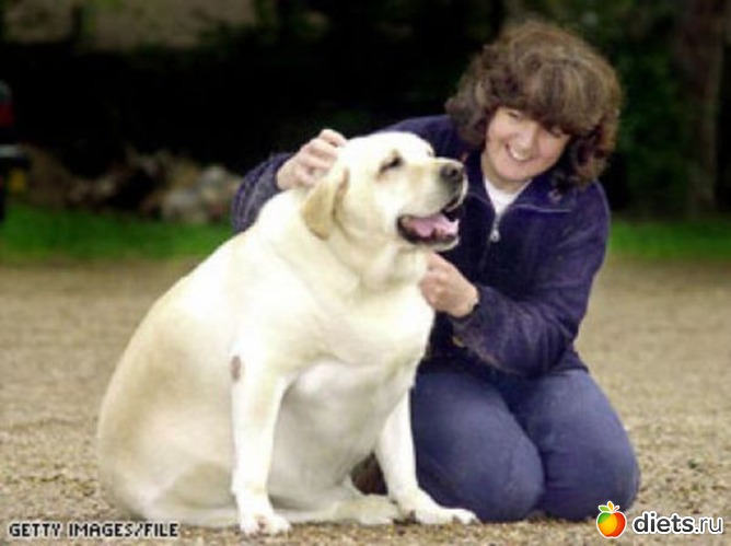 1 ����: � ���� �� ���� ������.....