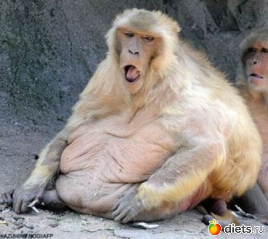 2 ����: � ���� �� ���� ������.....