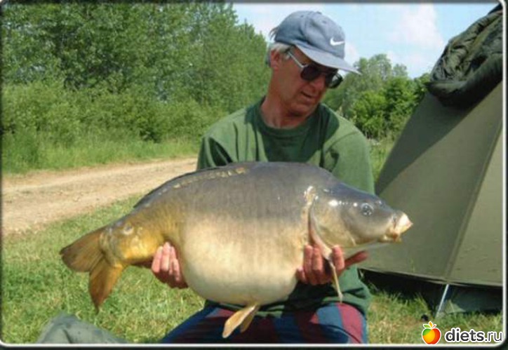 3 фото: А ведь им тоже тяжело.....