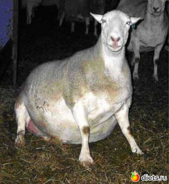 5 ����: � ���� �� ���� ������.....