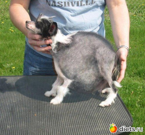 � ���� �� ���� ������.....