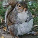 А ведь им тоже тяжело.....