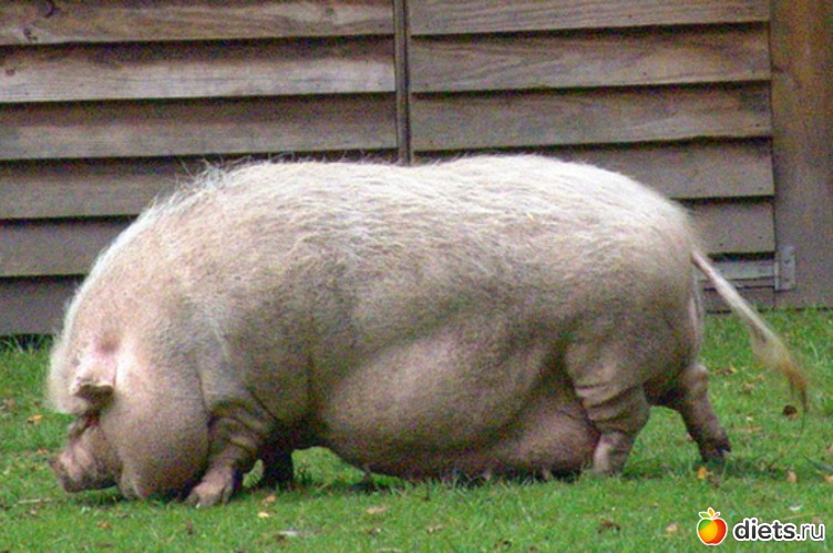 18 ����: � ���� �� ���� ������.....