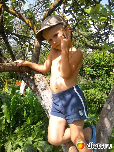 5 ����: ��� �������