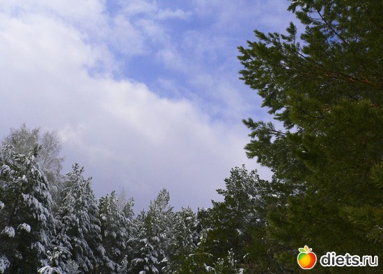 Весна против зимы