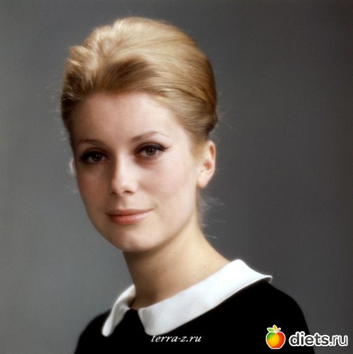 ������ �����, ������: ����� �������� ������� 20 ����