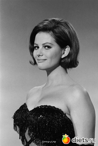 ������� ���������, ������: ����� �������� ������� 20 ����