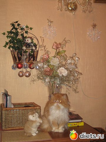 Котик Жорик