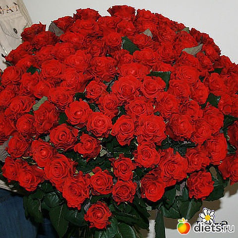 красивые картинки