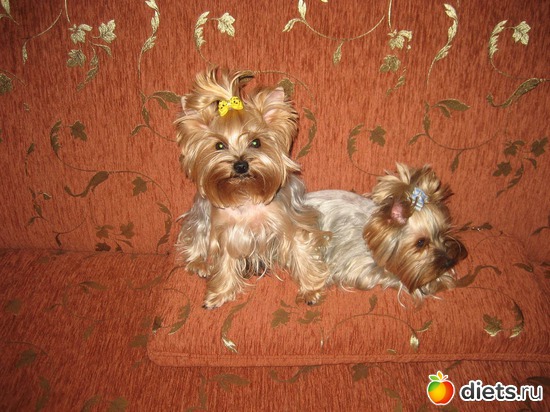 ������� � �����, ������: ��� �������� �������