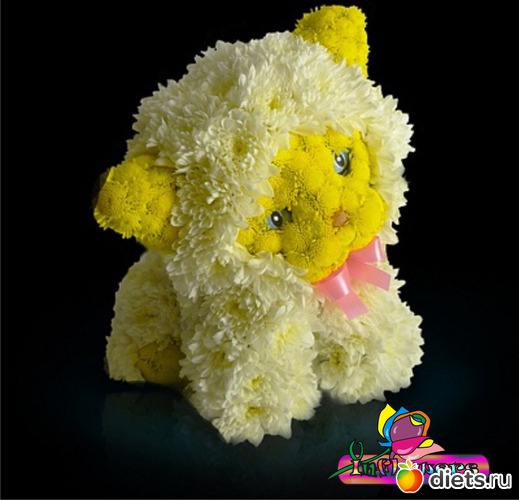 24 ����: ��� �������