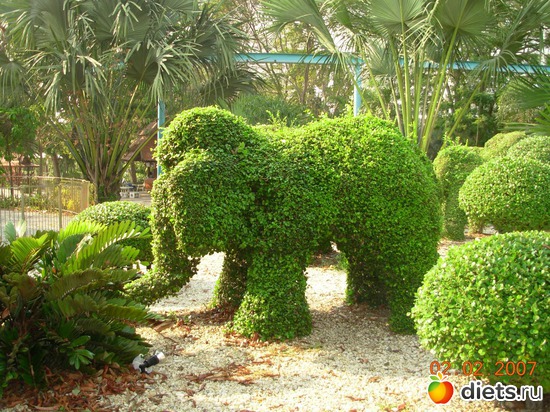 ����� �� ���� ������ �������!, ������: �������, �� �� ����, �� �� ���������� ��� ���...